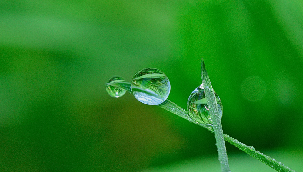 jardín-agua-riego