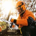 MOTOSIERRA PODA STIHL MS151 T