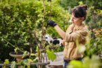SANDRA, AMANTE DE LA NATURALEZ Y DE SU JARDIN CUIDA LAS PLANTAS CON TIJERA DE PODA ASA 20 DE STIHL