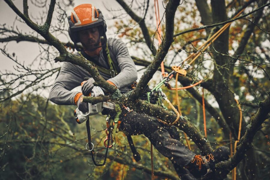 ARBORISTA TRABAJANDO CON LA GTA40 DE STIHL