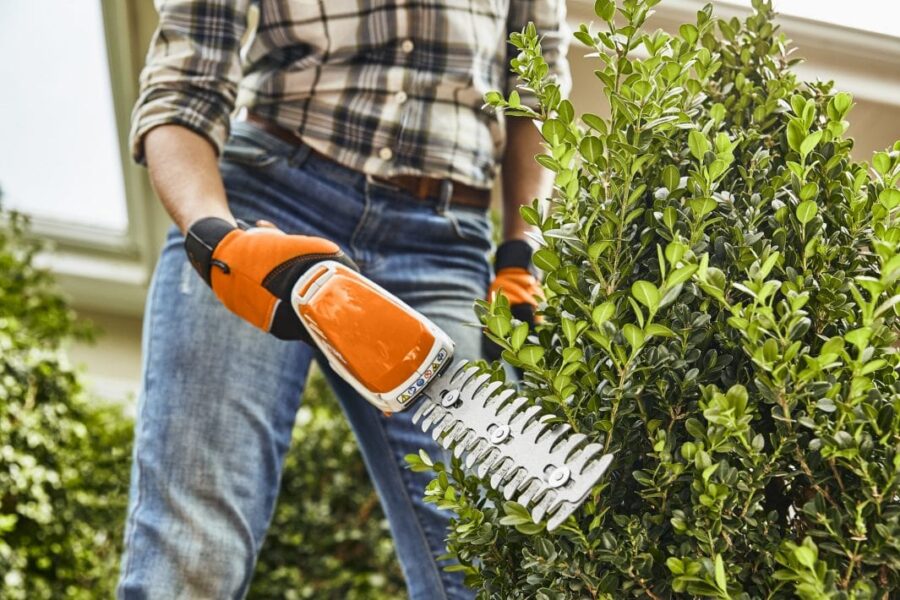 CORTASETOS HSA 26 A BATERÍA PERFILANDO UN SETO Y CREANDO EL JARDIN DE ENSUEÑO QUE QUIERES